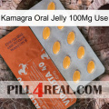 Kamagra Oral Jelly 100Mg Use 43